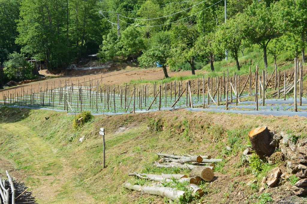 Agriturismo E Turre Serrastretta Dış mekan fotoğraf