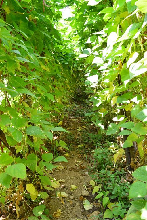 Agriturismo E Turre Serrastretta Dış mekan fotoğraf