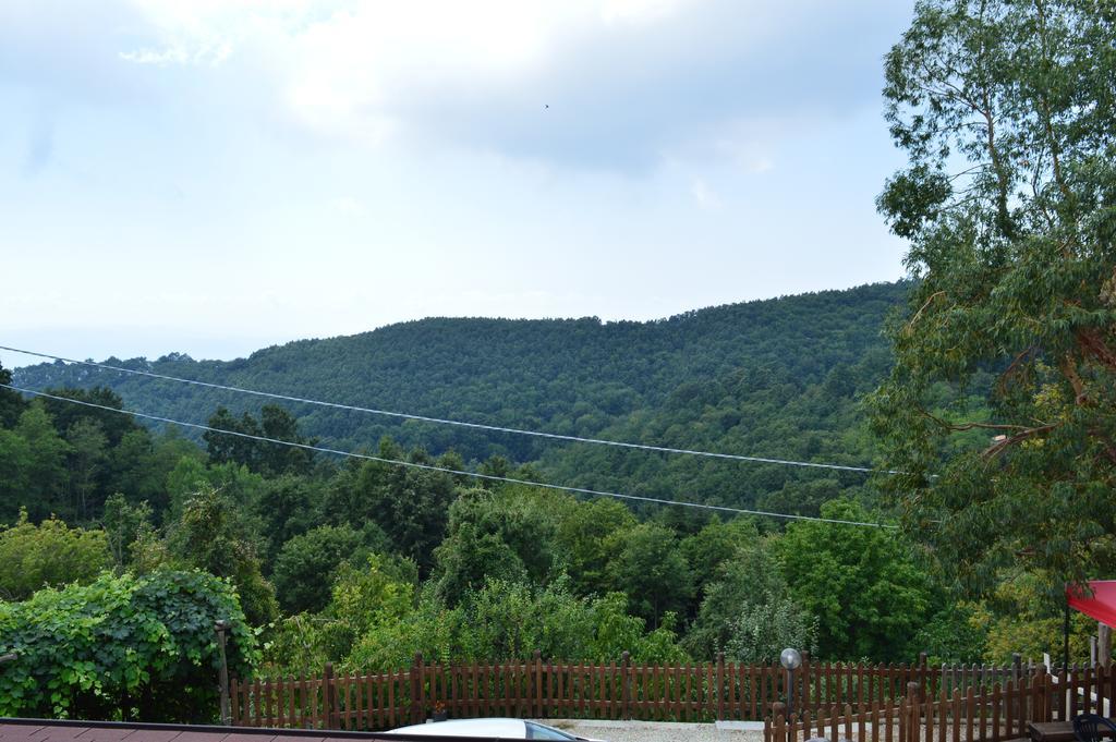 Agriturismo E Turre Serrastretta Dış mekan fotoğraf