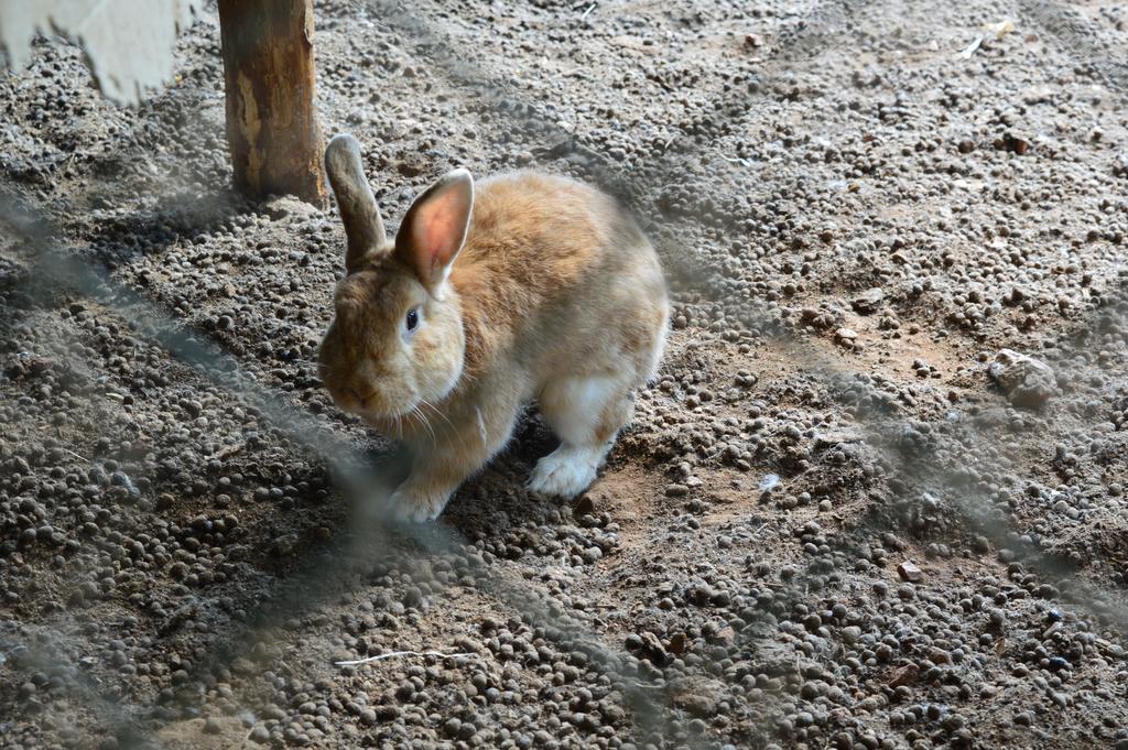 Agriturismo E Turre Serrastretta Dış mekan fotoğraf